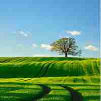 ssl证‍书‍申﻿请​